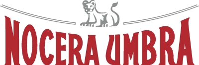 Icon of the Nocera-Umbra brand