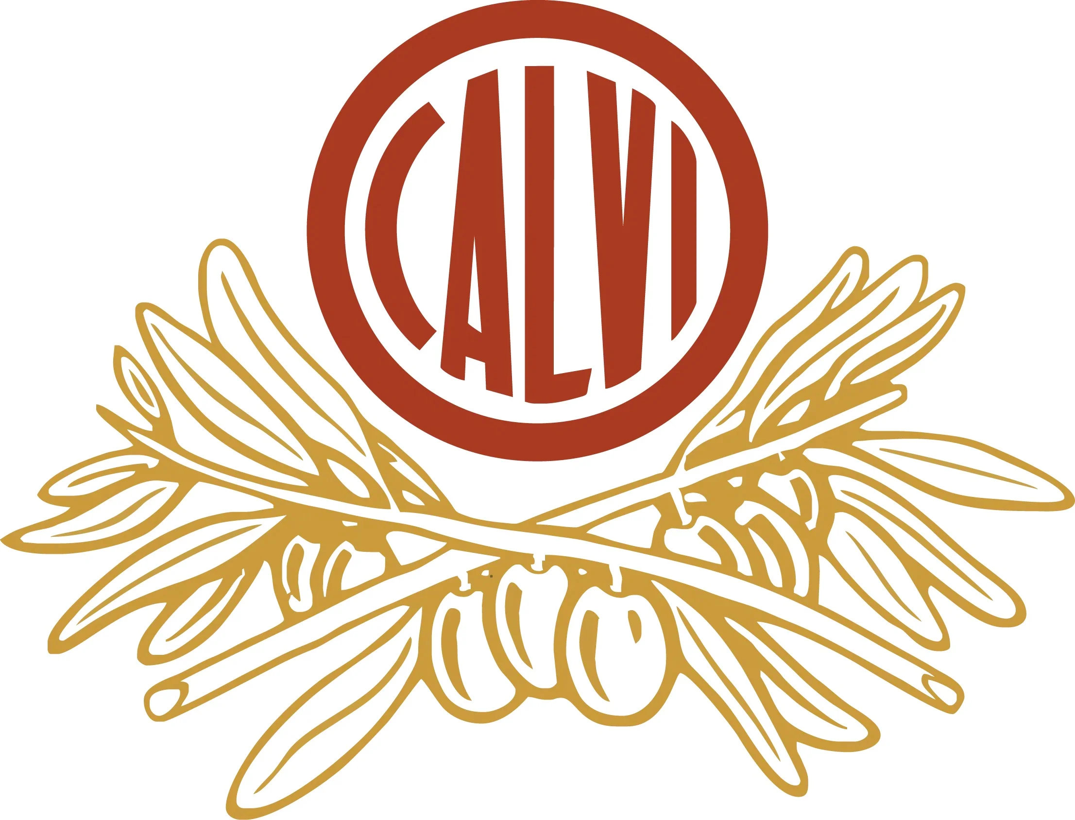 Icon of the calvi brand